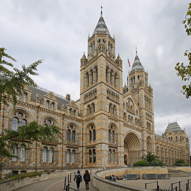 Alltask Scaffolding Natural History Museum London Alltask Scaffolding Natural History Museum London