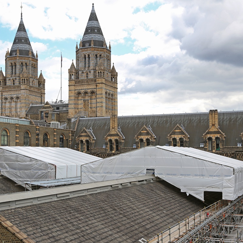 Alltask Scaffolding Natural History Museum Roof Repairs Alltask Scaffolding Natural History Museum Roof Repairs