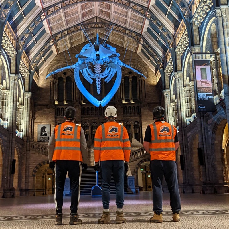 Natural History Museum Alltask Scaffolding
